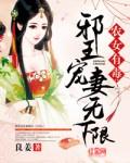 农女悍妃邪王的小厨娘