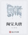 我在大唐有淘宝