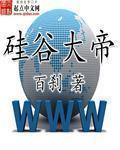硅谷大帝顶点
