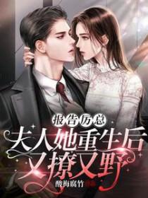 报告总裁夫人又逃跑了