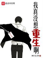 总裁妻子疯狂报复我