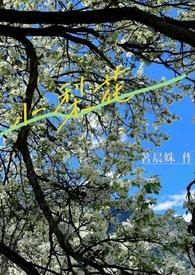 小梨花(校园h  1V1)