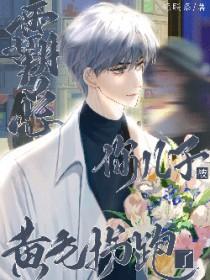 你儿子被黄毛拐跑了百度