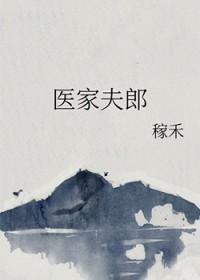 医家夫郎by稼禾讲的什么