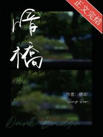 暗桥免费阅读全文梁砚西