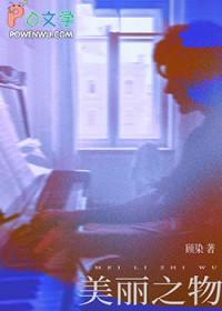 美丽之物是什么时候出版的