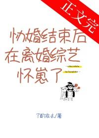 协婚结束后在离婚综艺怀崽了晋江