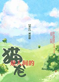 猫是人间的龙TXT