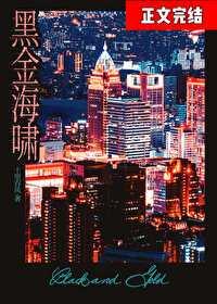 黑金海啸讲什么