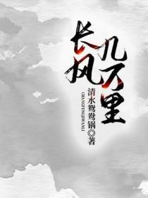 长风几万里 白鹭成双