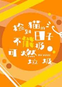 捡到猫真的不好吗