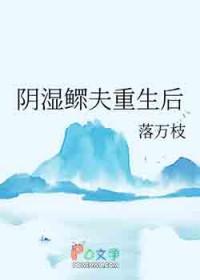 重生六零鳏夫