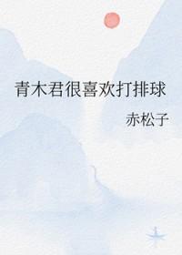 排球少年日本国青队