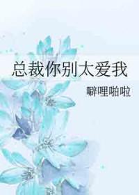 总裁你别太爱我笔趣阁