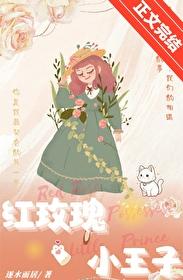 小王子 红玫瑰与白玫瑰