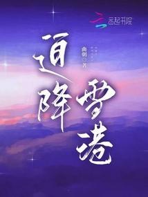 迫降雪港 曲朝