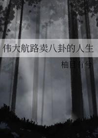 海贼王同人伟大航路卖八卦的人生柚目有兮