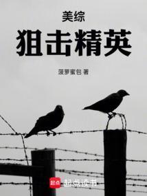 美版狙击精英4