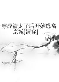 穿成清朝太子