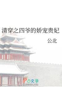 清穿之四爷的娇宠贵妃姜楚楚免费阅读