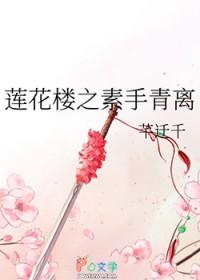 莲花楼吉祥纹txt