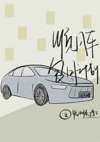 顺风车包月计划TXT