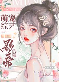 小猫咪如何饲养反派人类视频