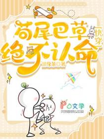 电视剧狗尾巴草