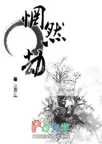 惘然劫南康讲的什么