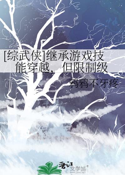 综穿之继承者