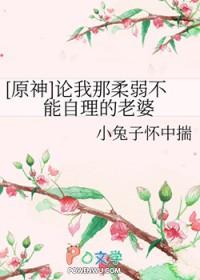 原神论我那柔弱不能自理的老婆全文免费阅读