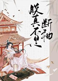 真不是断袖
