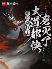 道长别打了大道都快磨灭了境界