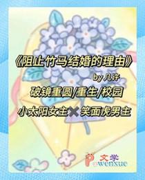 阻止竹马结婚的理由豆瓣