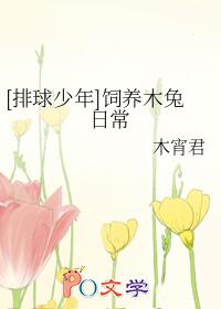 排球少年饲养木兔日常