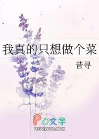 我真的只想当个厨子啊