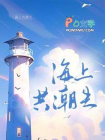 海上共潮生双男主讲的什么