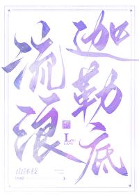 综漫迦勒底魔术学院