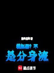 模拟器不是分身流笔趣