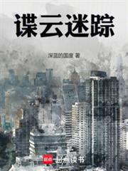谍云迷踪全集TXT