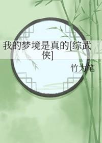 我的梦境专属游戏断更