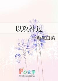 以攻补过 一颗杭白菜txt