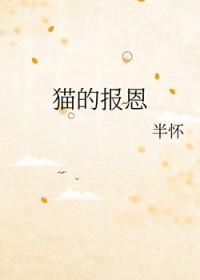 犬夜叉大战猫妖