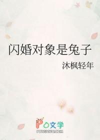 闪婚对象是兔子 作者沐枫轻年