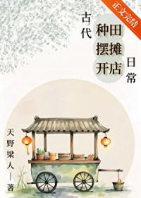 穿越古代种田经商文