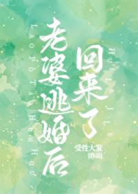 老婆跑了之后笔趣阁