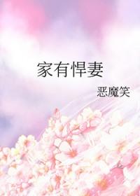 穿越之家有悍妻