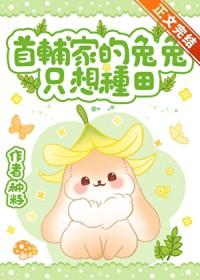 首辅家的小野猫全文免费阅读