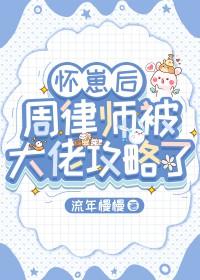 怀崽后周律师被大佬攻略了免费阅读全文