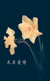 无关爱情的经典台词片段时长两分钟女生